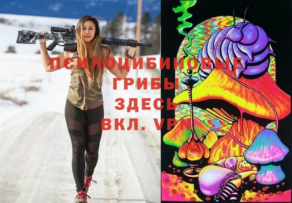 прущая мука Костерёво